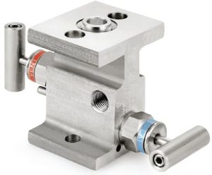 Ham-Let Astava 2 Way Direct Mount Manifold with Flange Connections