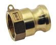 Vale® Brass Type A Plug NPT