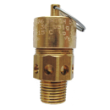 Dereve® Series 6000 Safety Relief Valve Degreased